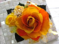 IMG_3333.JPG