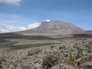 kilimanjaro_partial_007.jpg