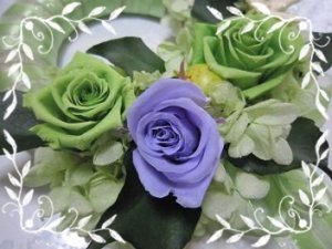 IMG_1102.JPG